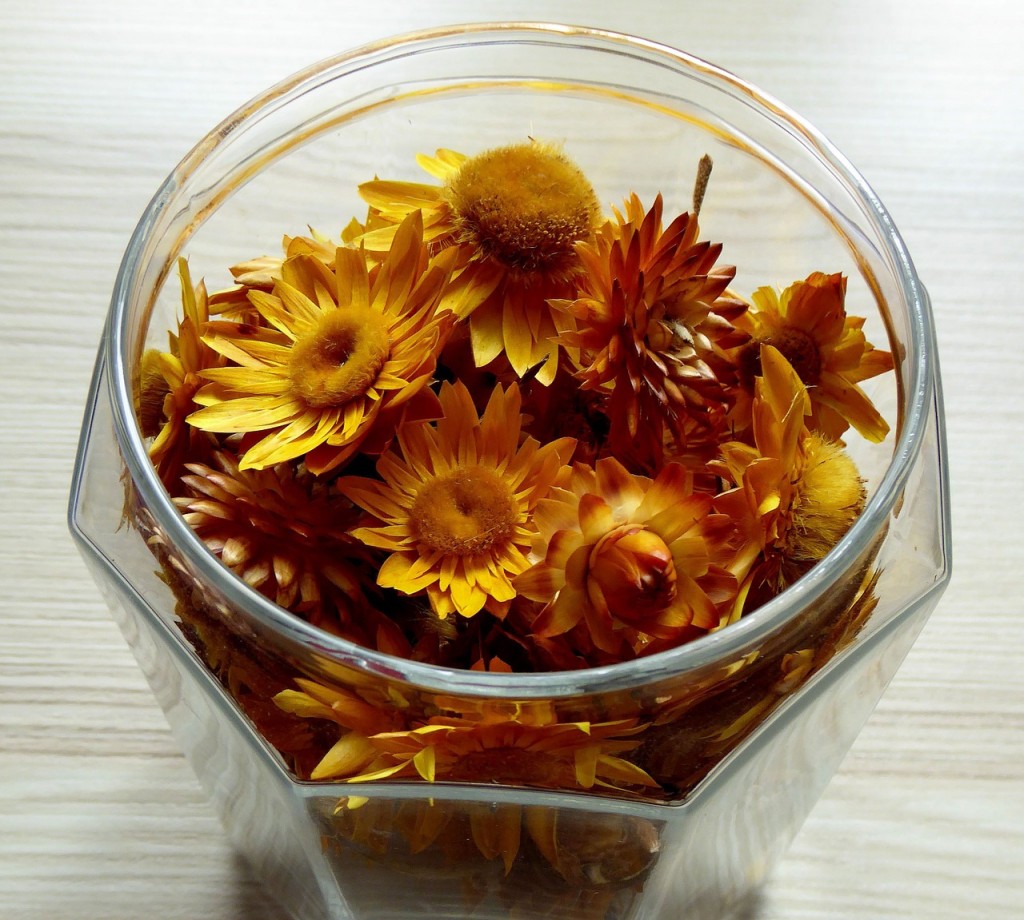 Composizioni di fiori secchi in vasi di vetro, come creare decorazioni  originali - Lombarda Flor